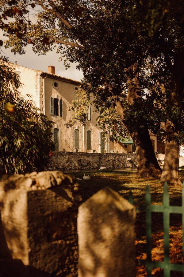 Gite Superbe L'Ecurie Xixeme Sallèles-dʼAude Εξωτερικό φωτογραφία